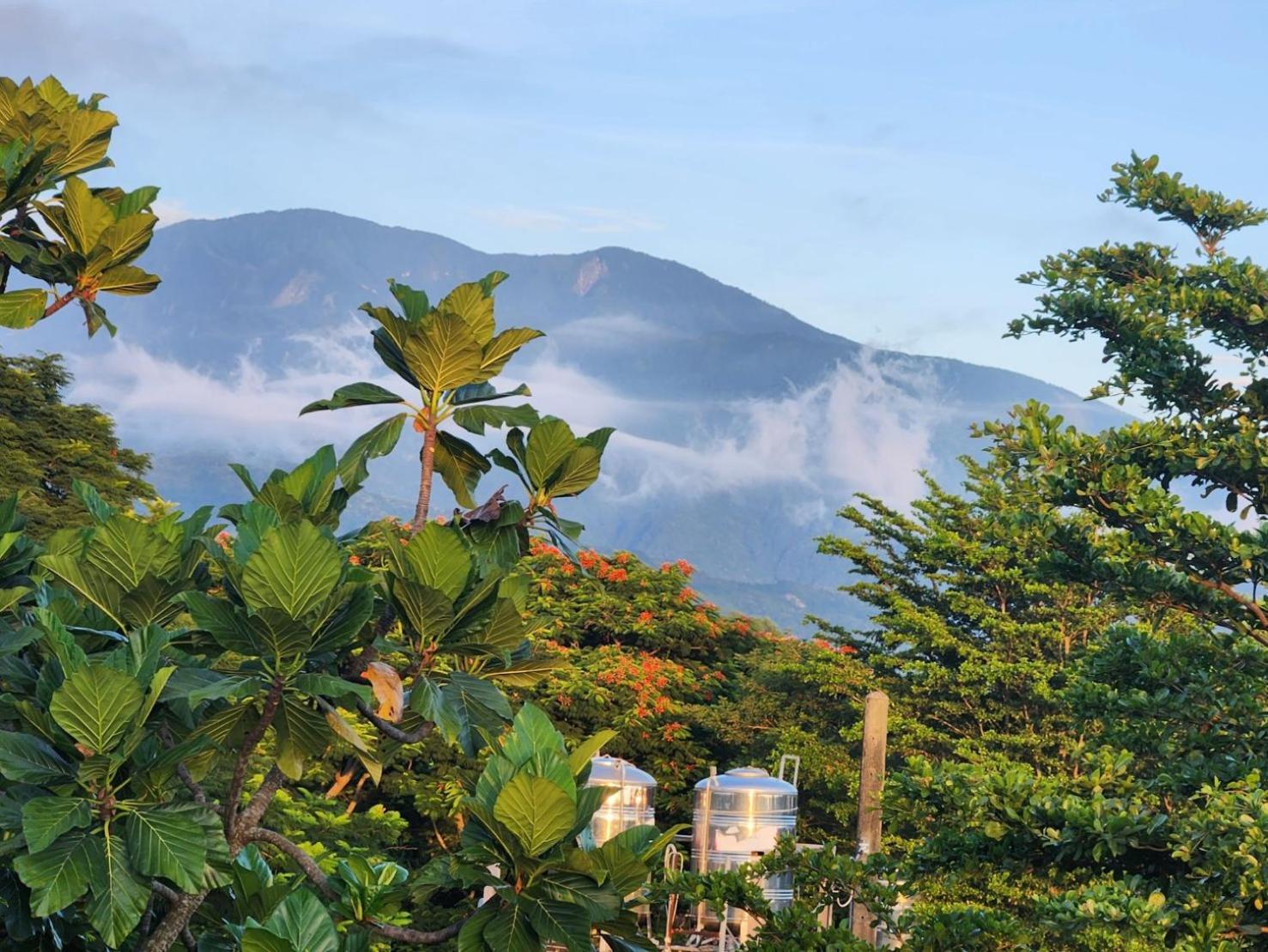 Najima B&B Ji'an Dış mekan fotoğraf