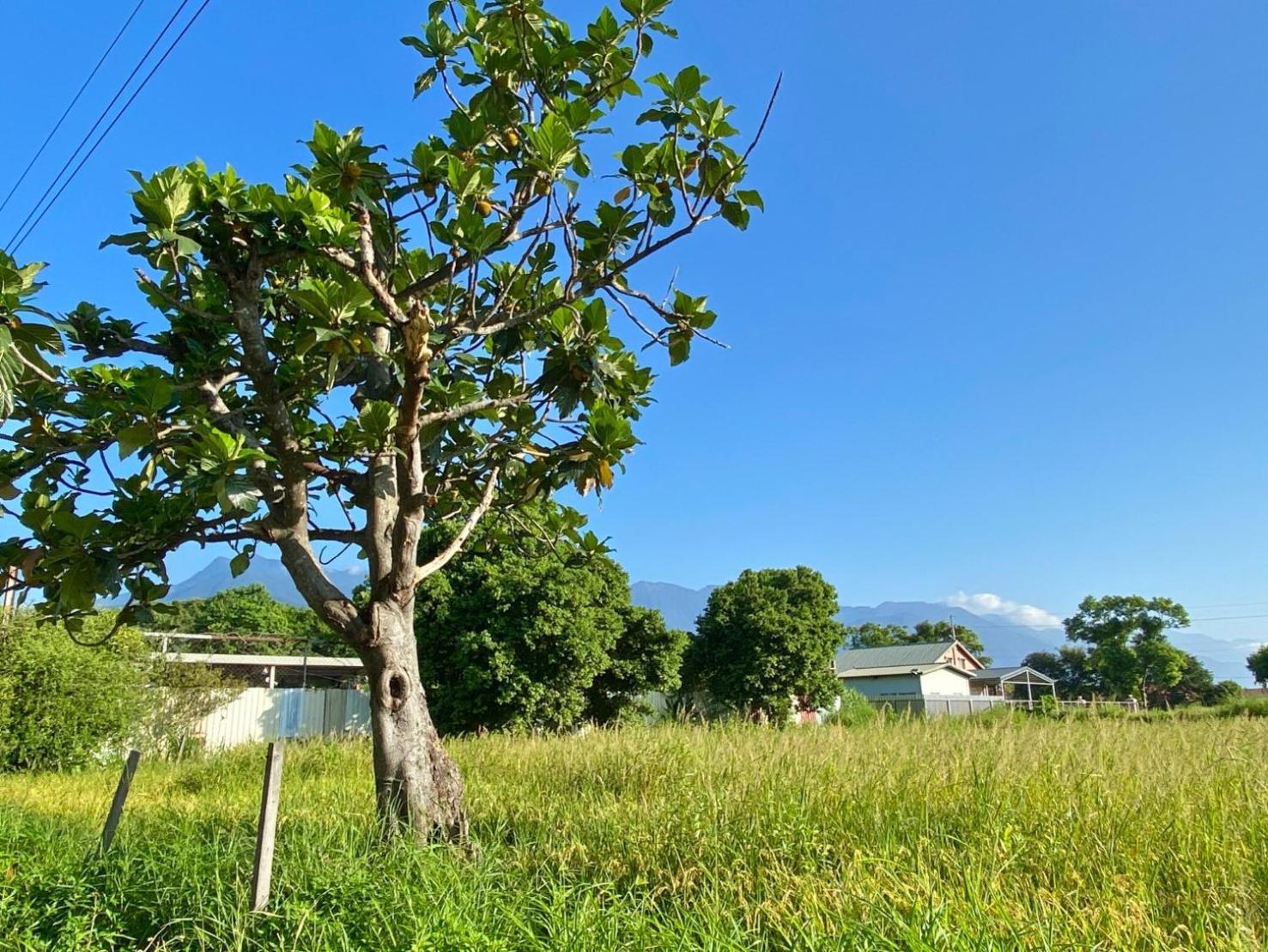 Najima B&B Ji'an Dış mekan fotoğraf